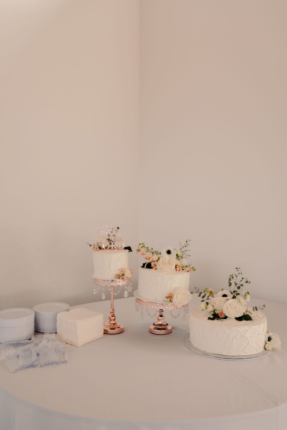 Machias Meadows Wedding Kaitlin Evans Photography