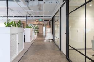 Modern office hallway with glass walls, white storage units, and indoor plants.