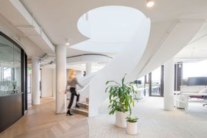 Bright office space with curved architecture, skylights, and indoor plants on light wood flooring.