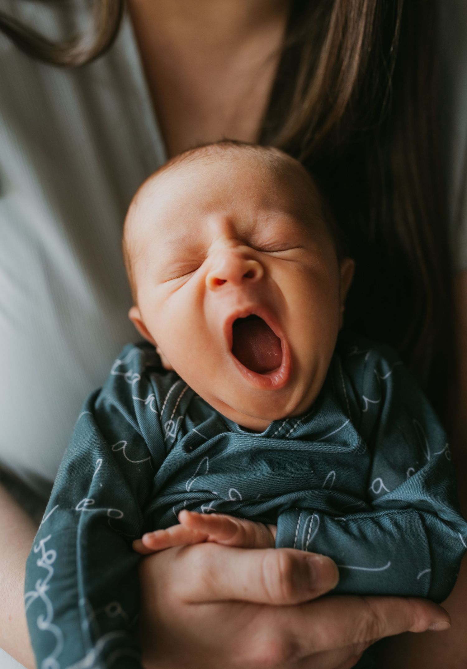 knoxville newborn photography