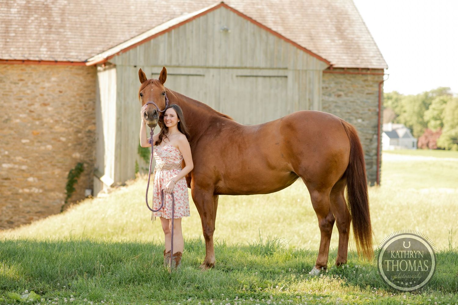 A beautiful brown horse stands next to a rustic barn in golden afternoon sunlight.