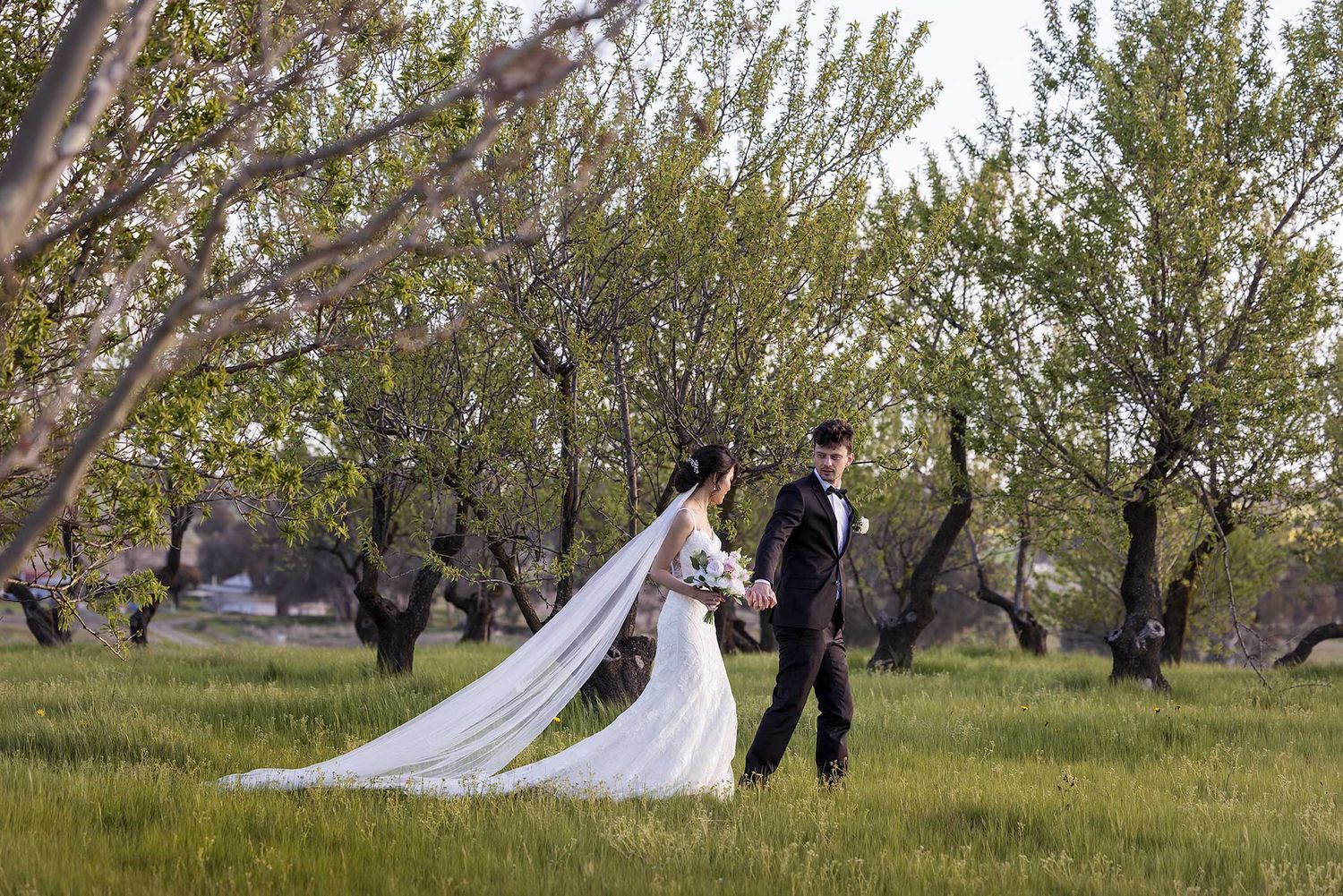 Bride and Groom walking in the orchard at De Bortoli Rutherglen Estate captured by Jason Robins Photography