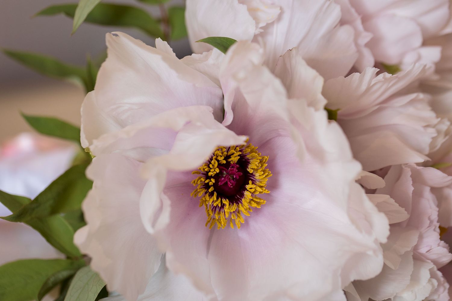 Wedding flowers at De Bortoli Rutherglen Estate captured by Jason Robins Photography