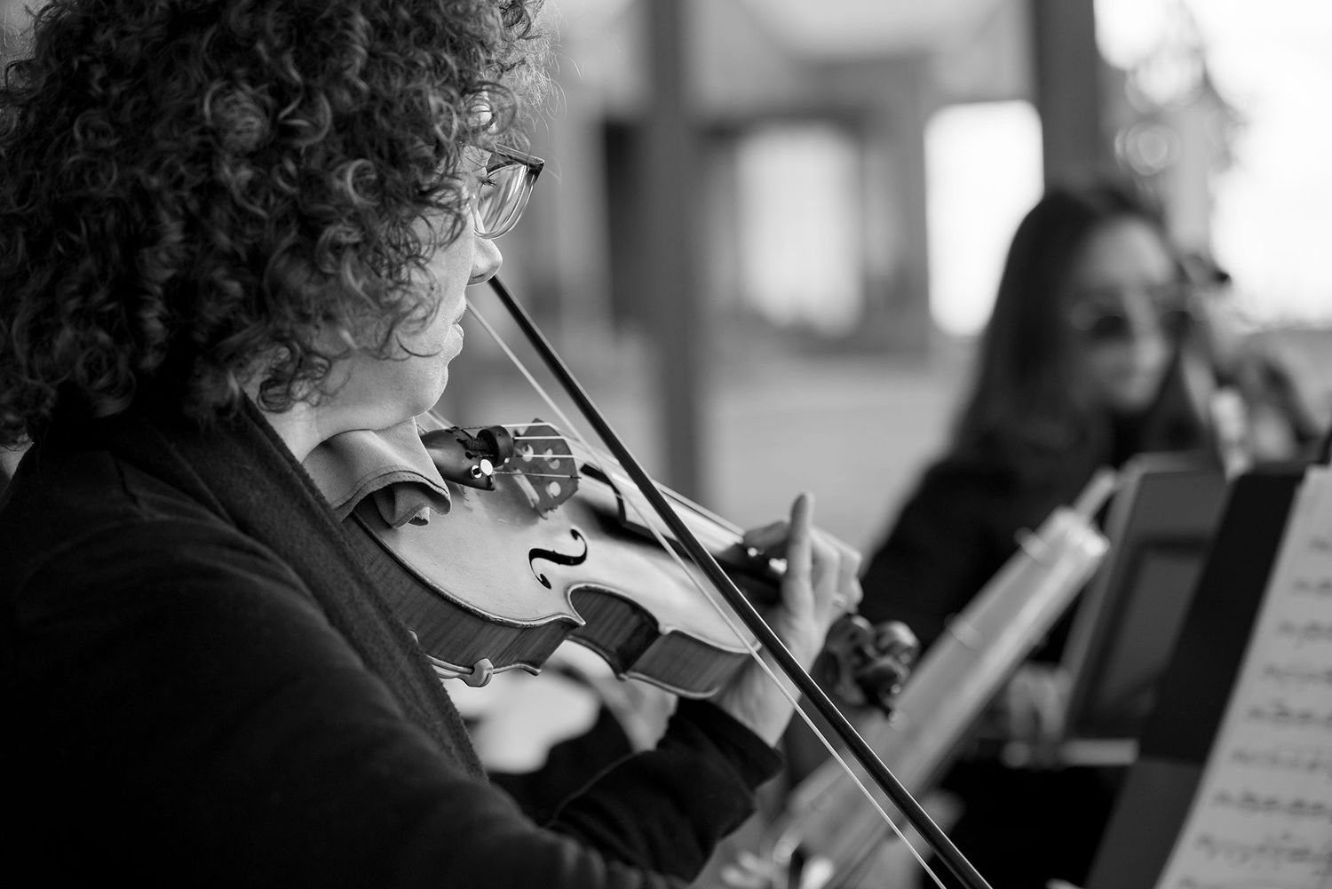 Musician playing the violin at De Bortoli captured in Black and White by Jason Robins Photography