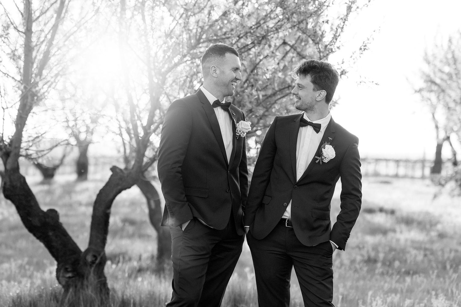 Groom and Groomsman sharing a laugh in the orchard at De Bortoli Rutherglen Estate during Sunset captured in B & W.
