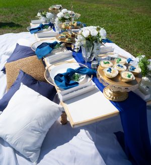 Outdoor picnic setup with blue accents, white pillows, and cupcakes on a decorative stand.