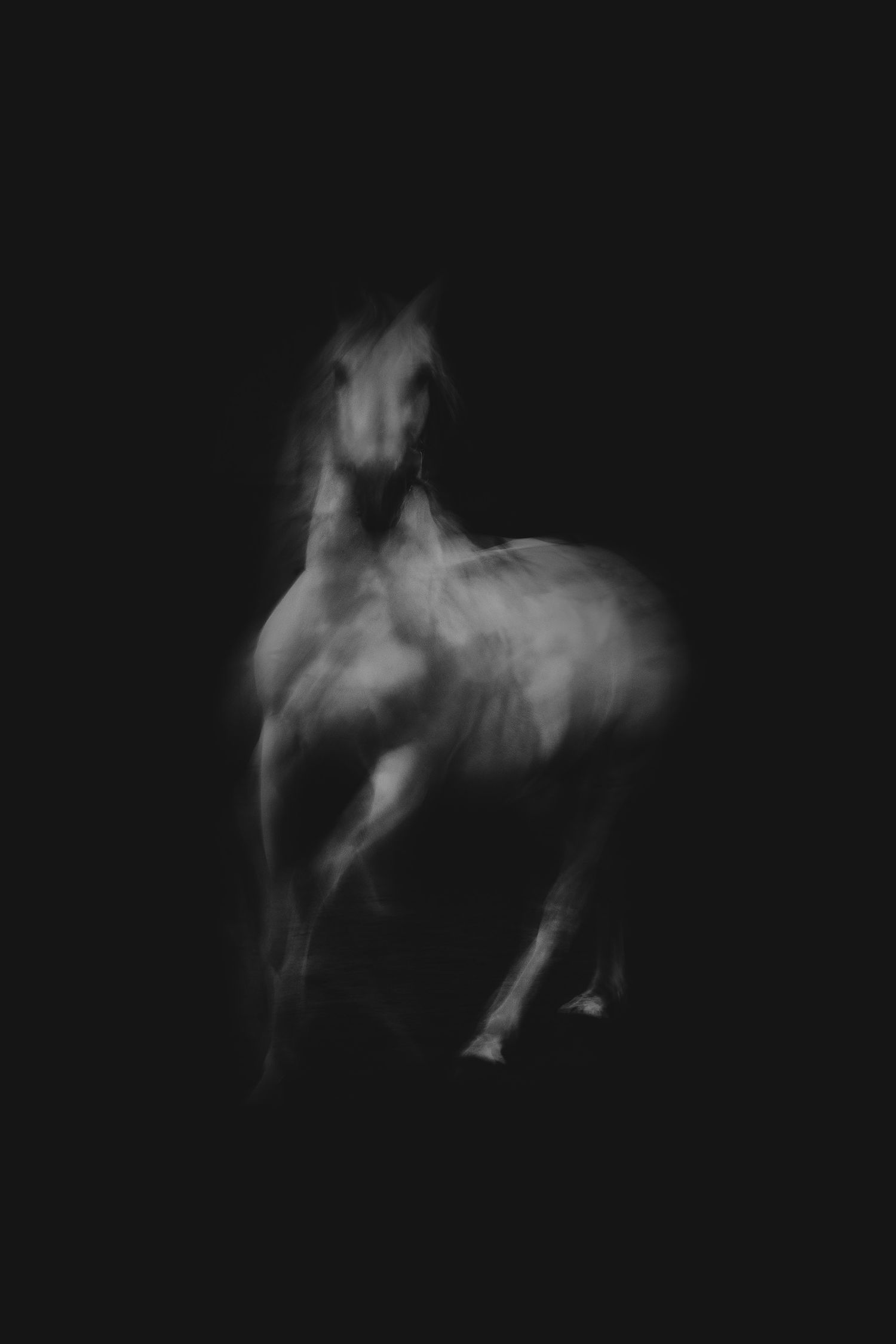 Dramatic black and white photograph of a horse in motion against dark background.