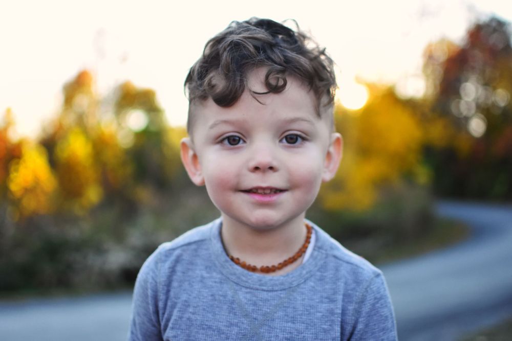 Toddler boy in gray with winding path in background, fall foilage