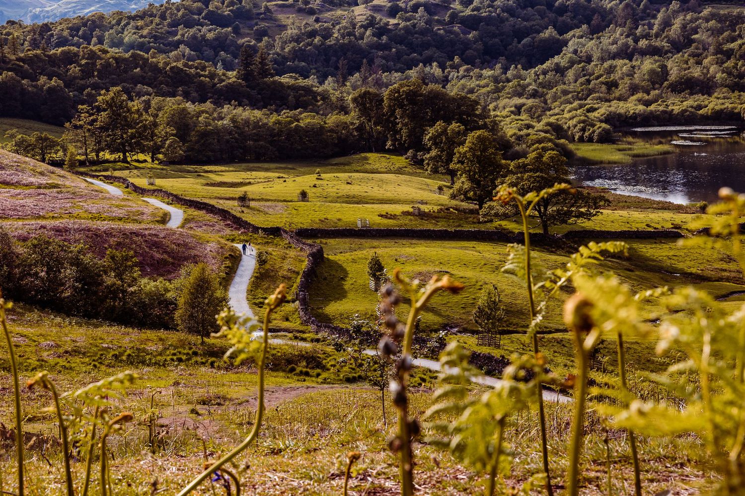 Eloping in the Lake District: Bride and Groom Walk Hand in Hand, They are at Rydal Water and Small in the Frame