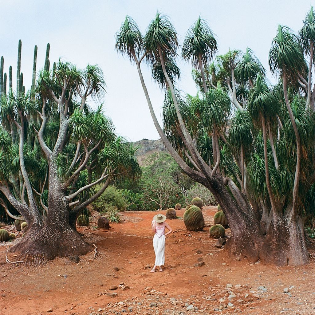 <img src="oahu_botanical_garden.jpg" alt="Oahu Botanical Garden: Explore nature's beauty in garden near Koko Head.">