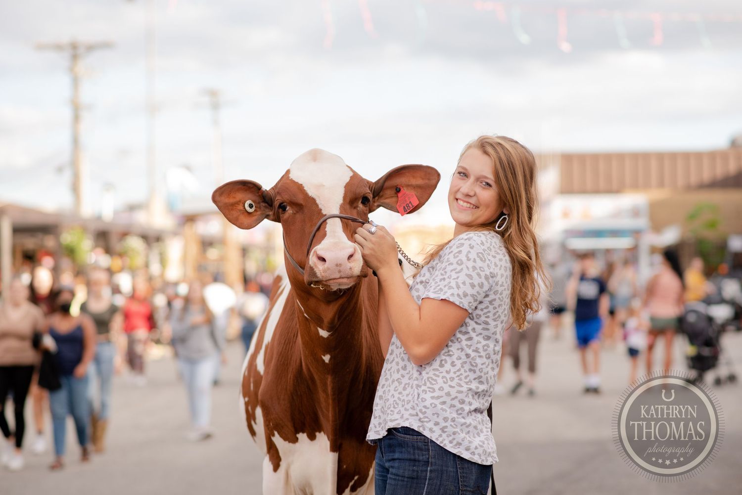 A friendly dairy cow with distinctive brown and white markings stands next to someone at a community event.