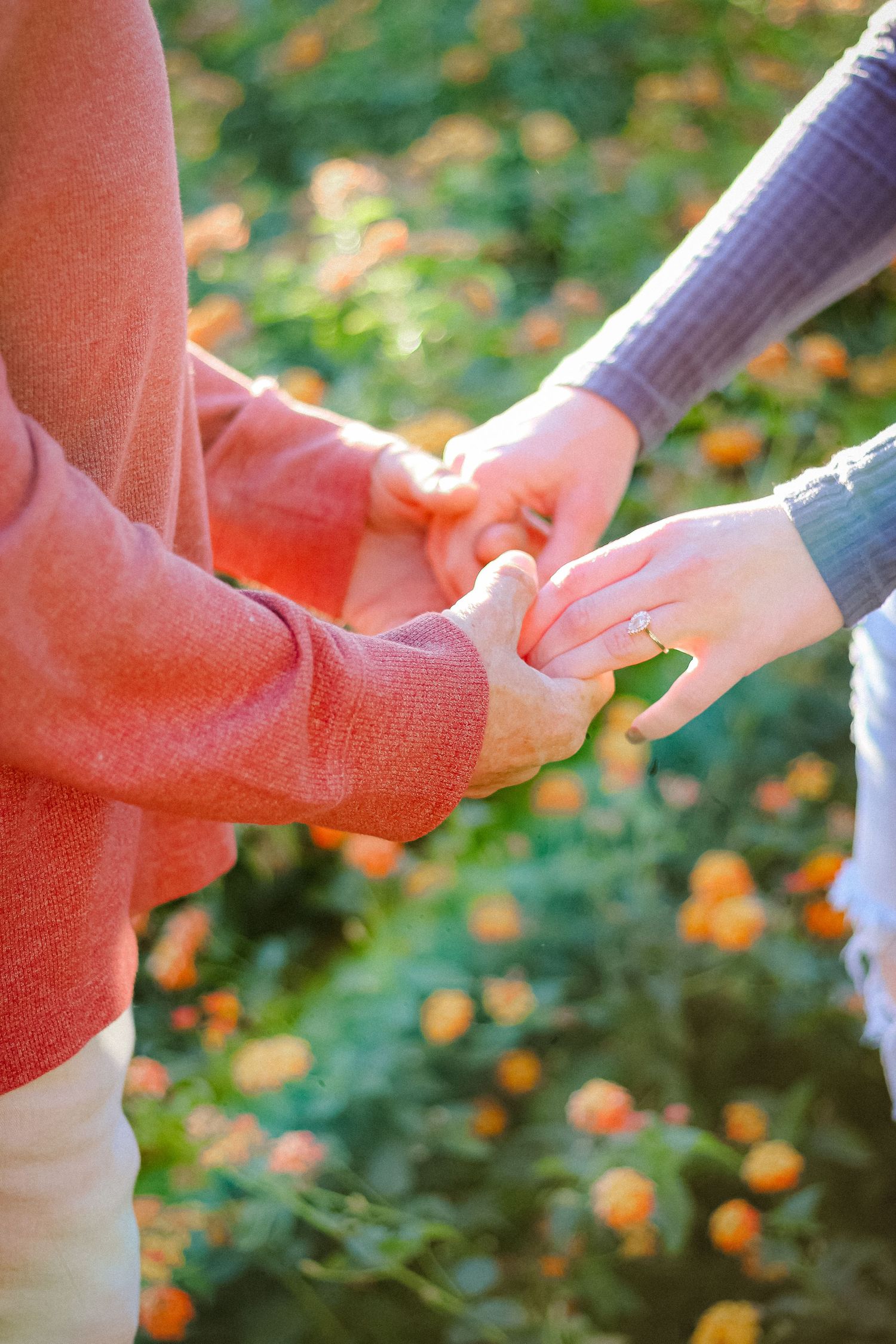 Close-up shot of hands holding each other against blurred autumn background.