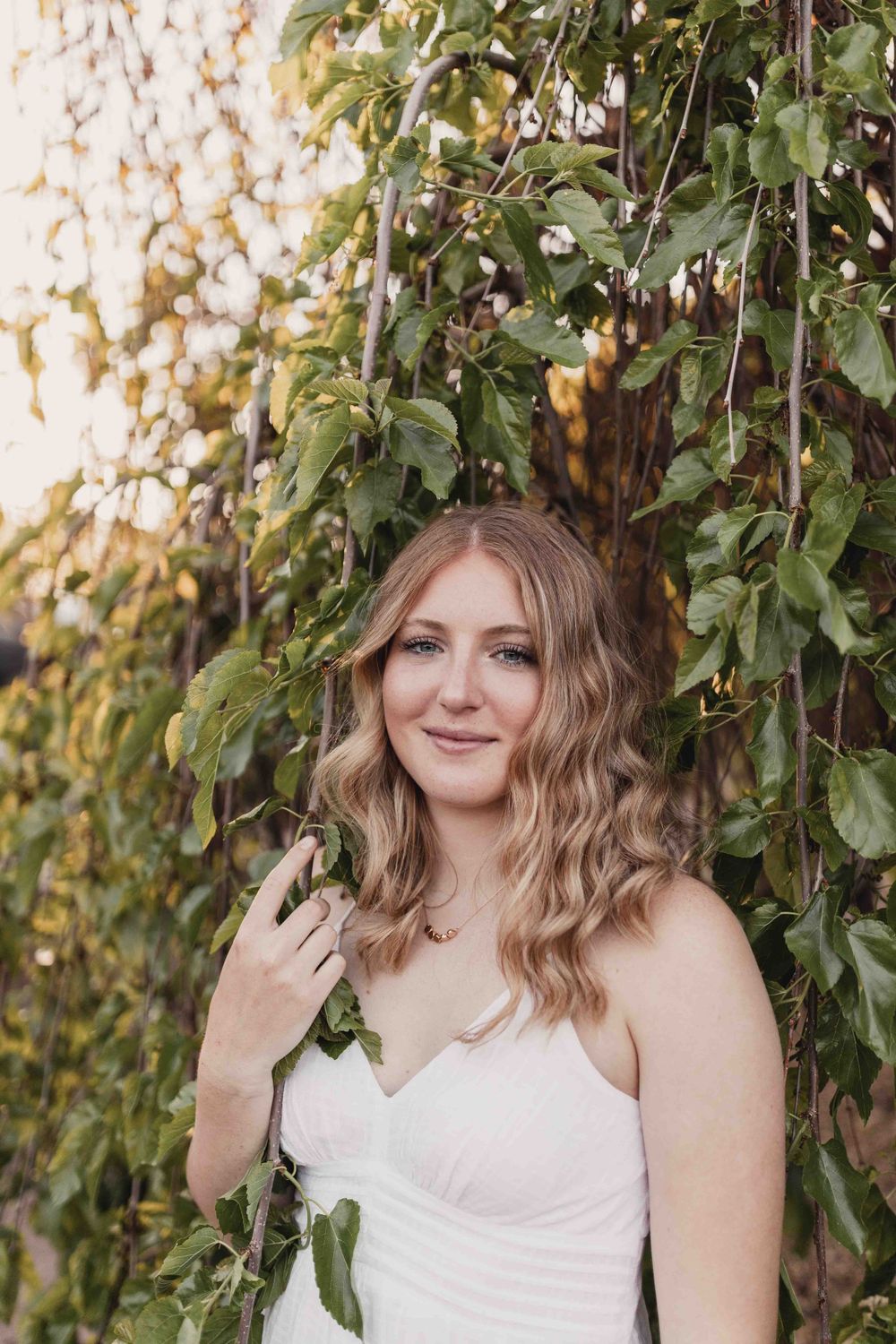 Senior portrait of female smiling in hanging tree greenery at the Dubuque Iowa Arboretum and Botanical Gardens
