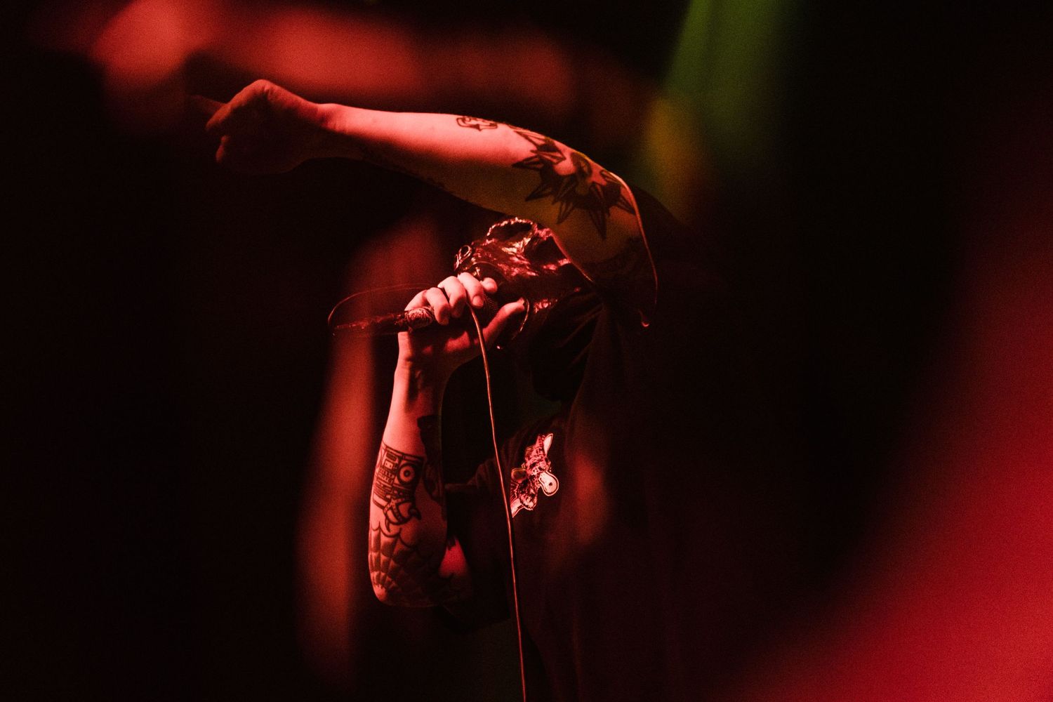 photographe concert paris