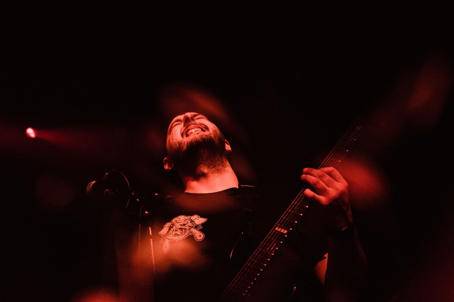 photographe concert paris