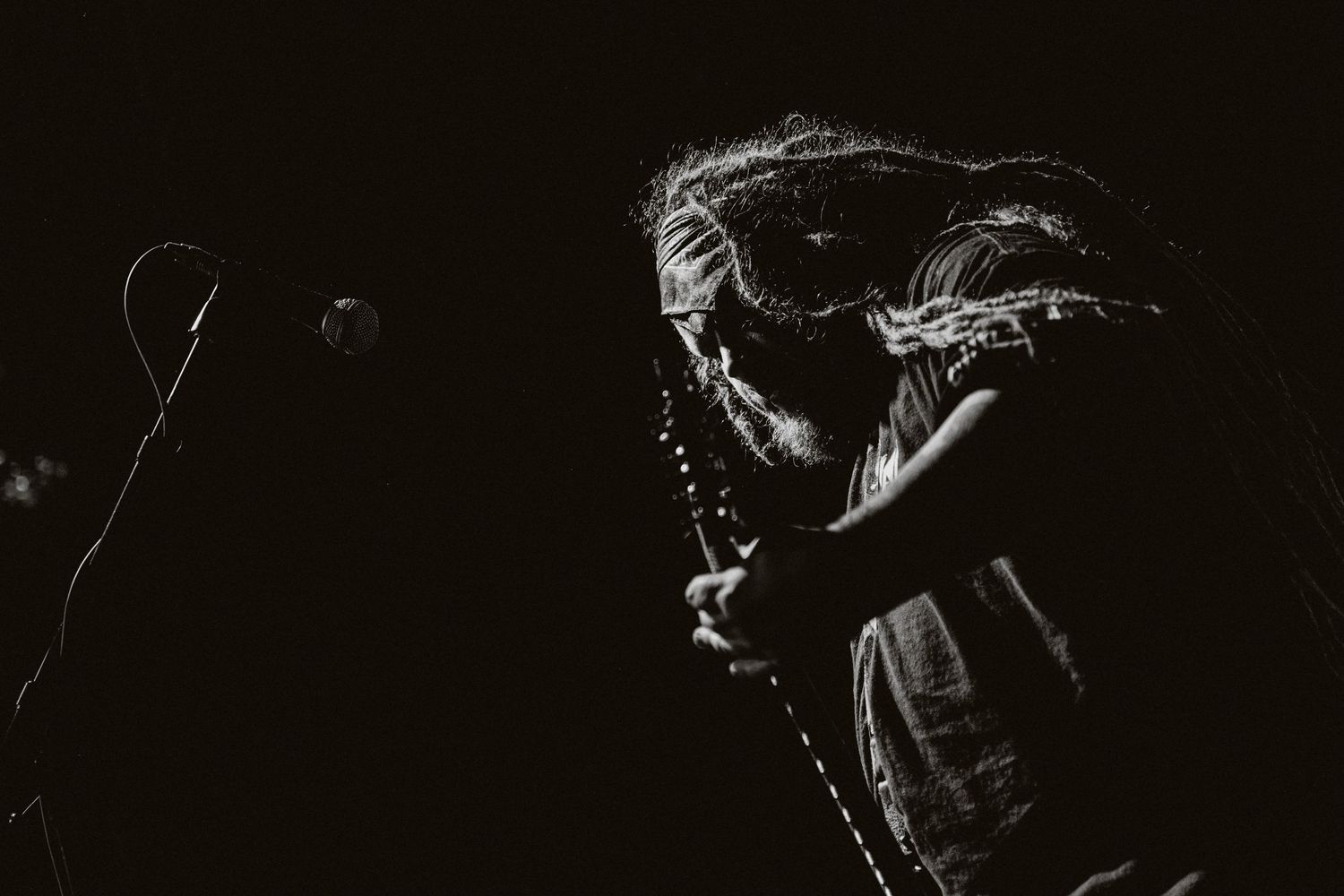 photographe concert paris