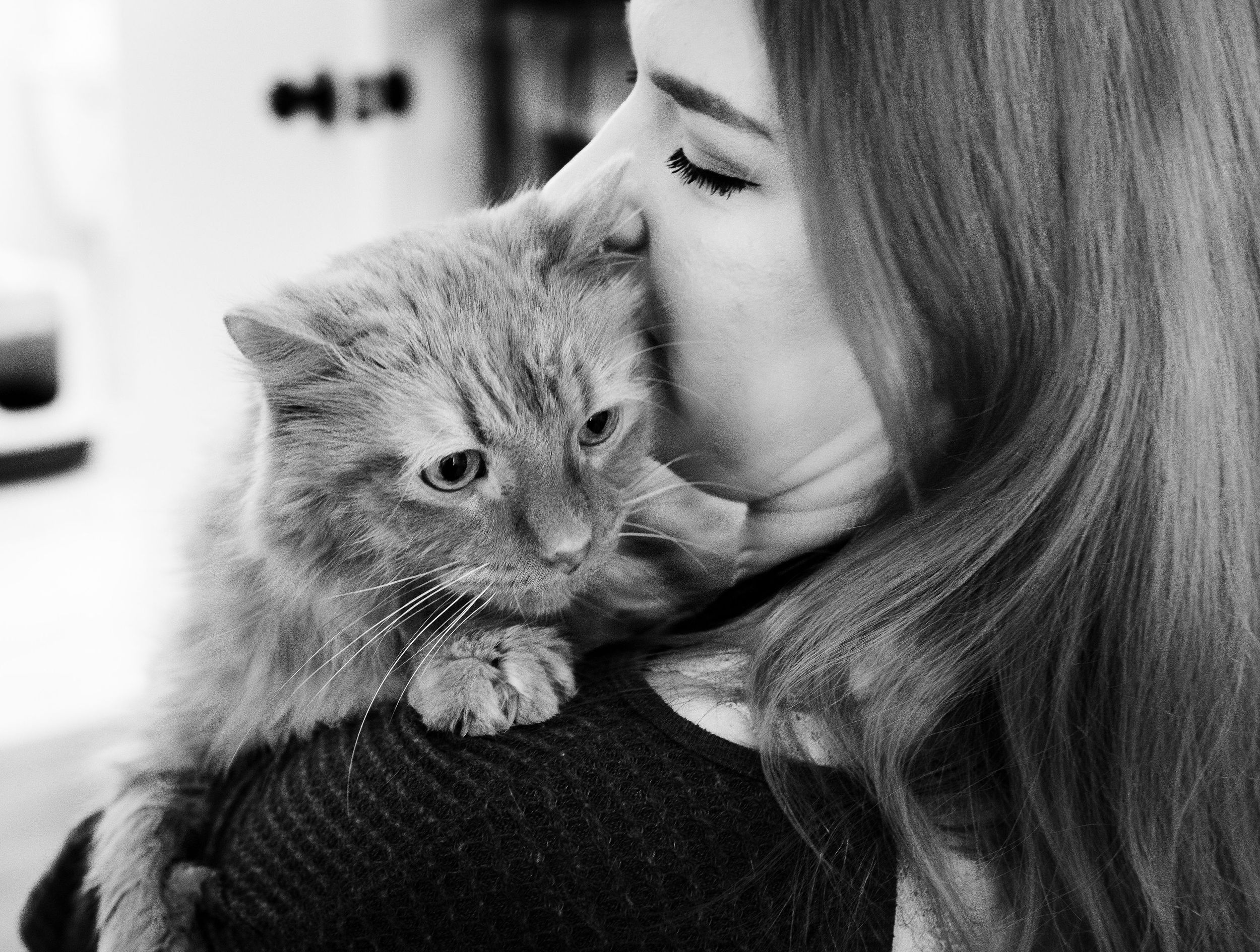 girl holding cat over her shoulder and petting lovingly