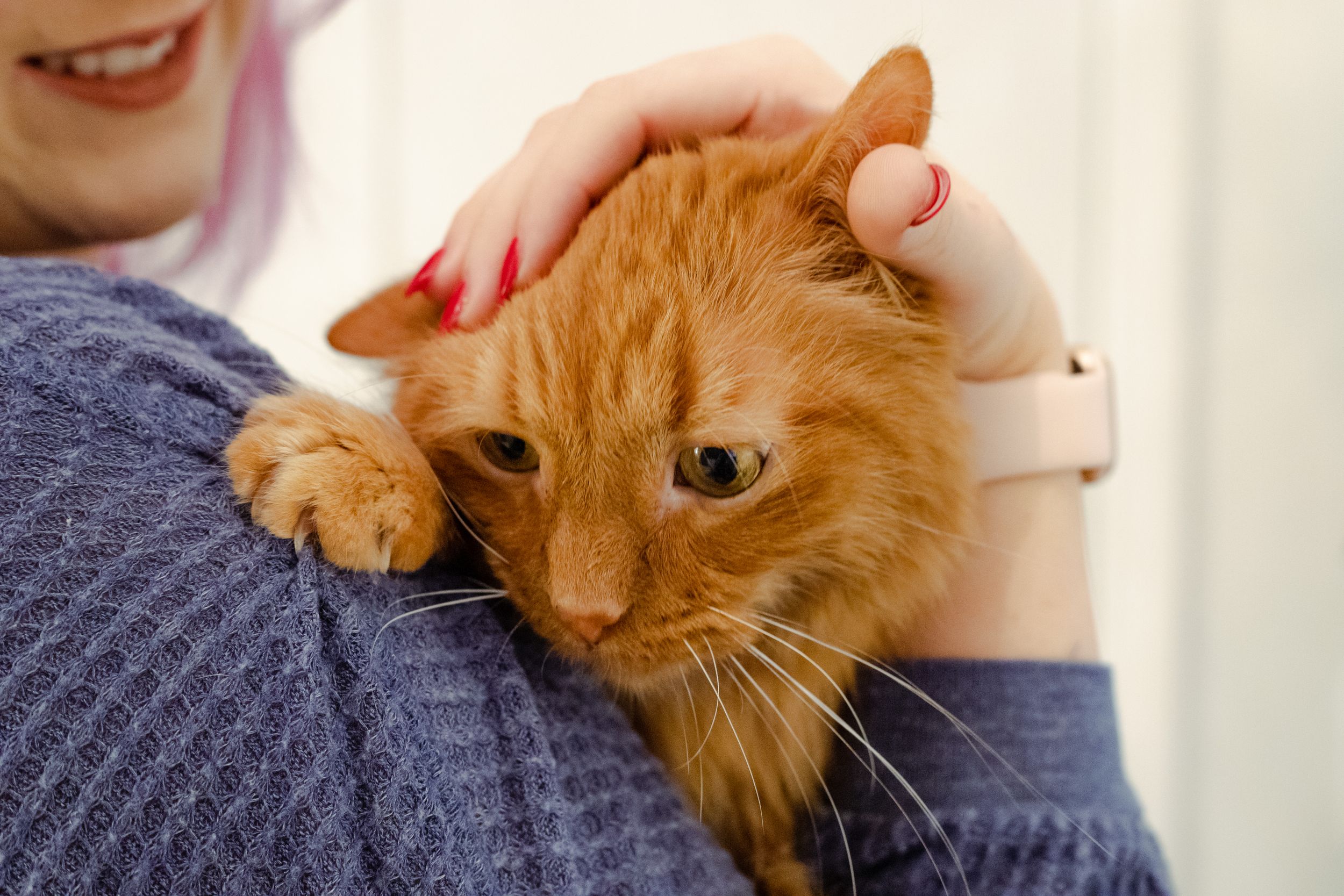 owner comforting their sick pet