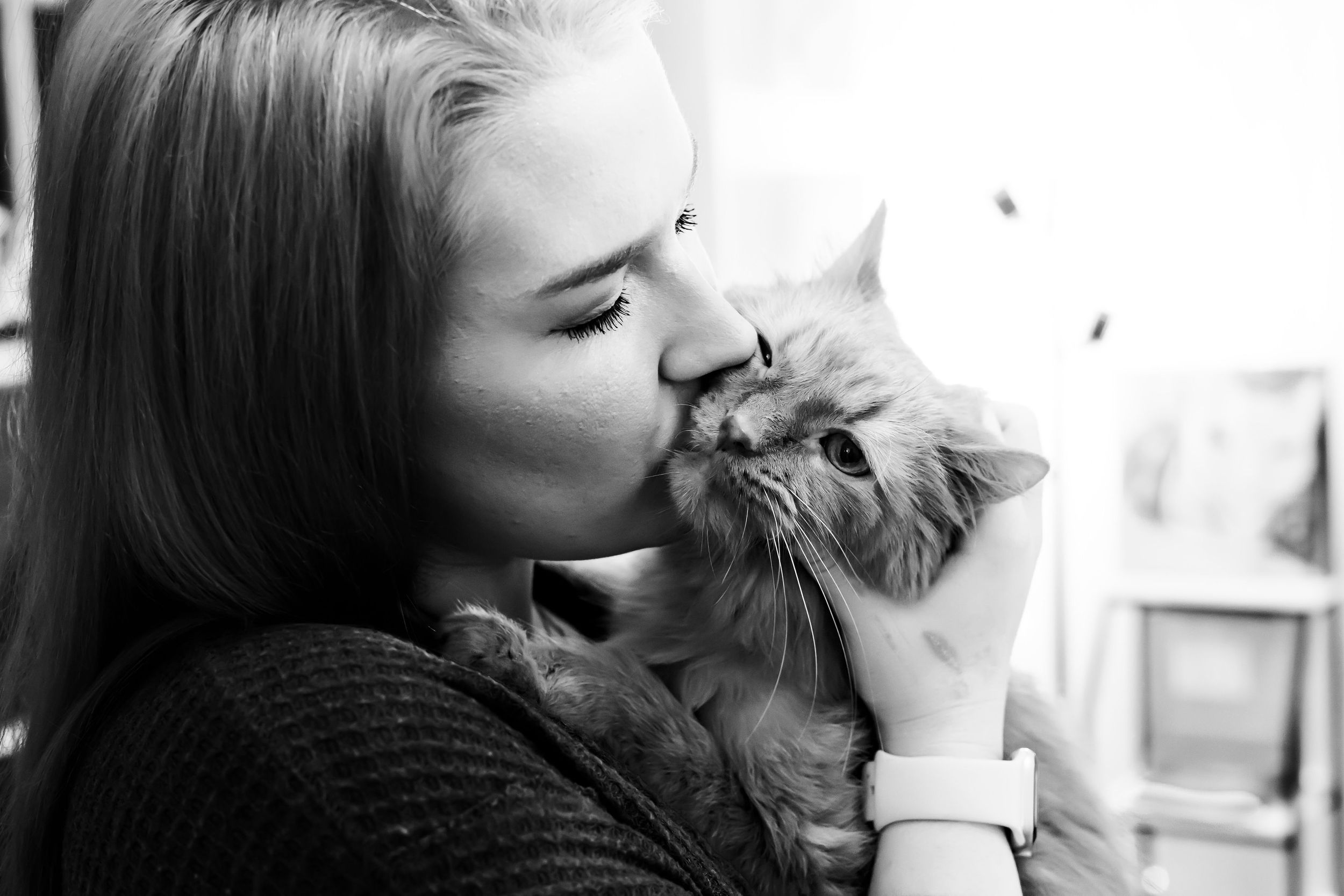 pet owner giving kisses to her elderly cat