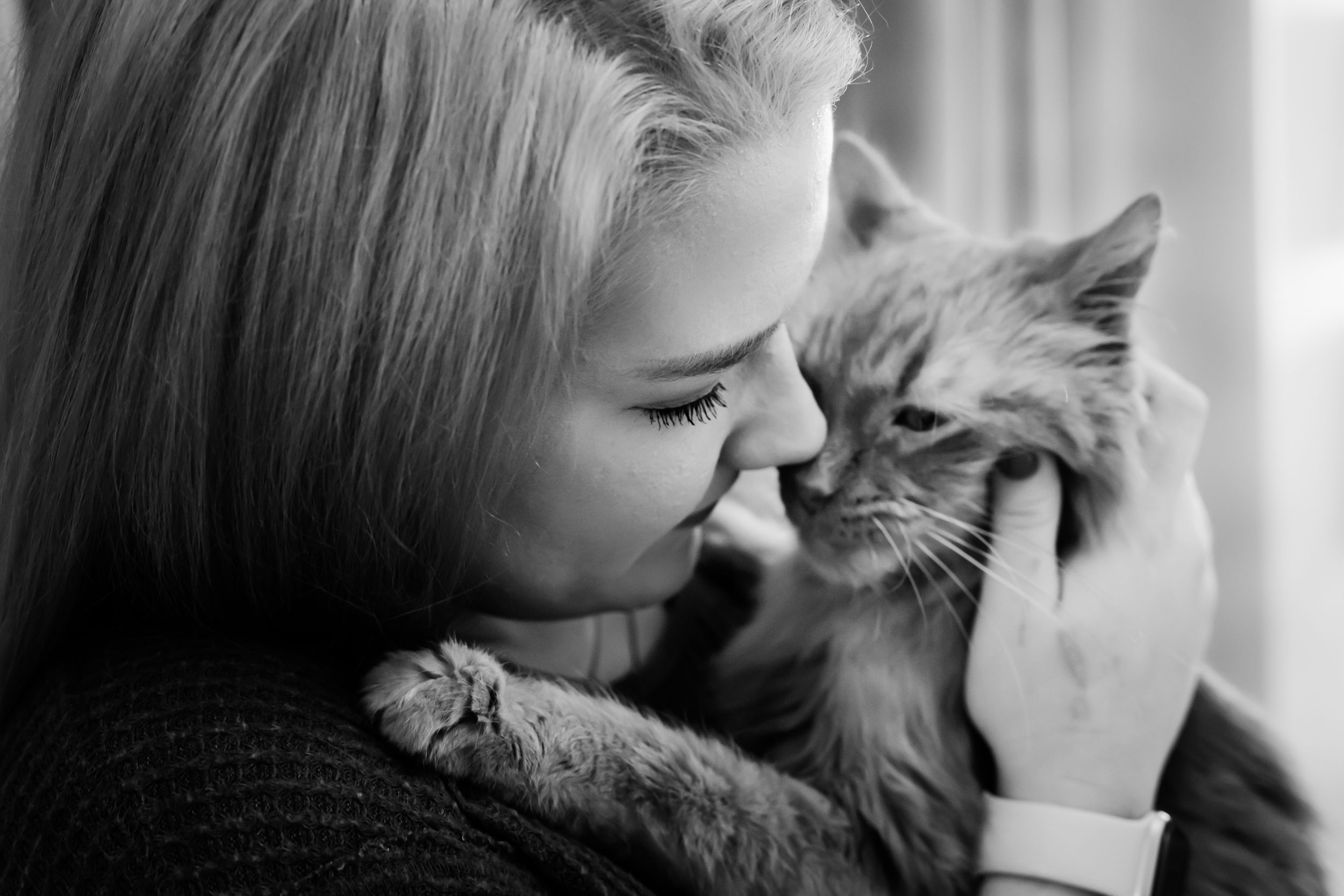 loving moment between an owner and their disgruntled cat