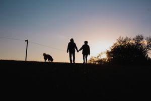 Silhouettes of two people and a dog walking together against a sunset sky with power lines visible.