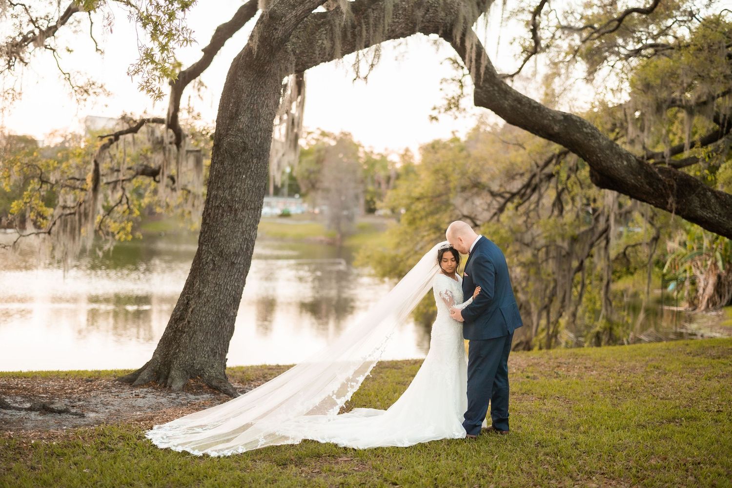 A romantic wedding photo captured beneath a moss-draped oak tree beside a serene lake at sunset.