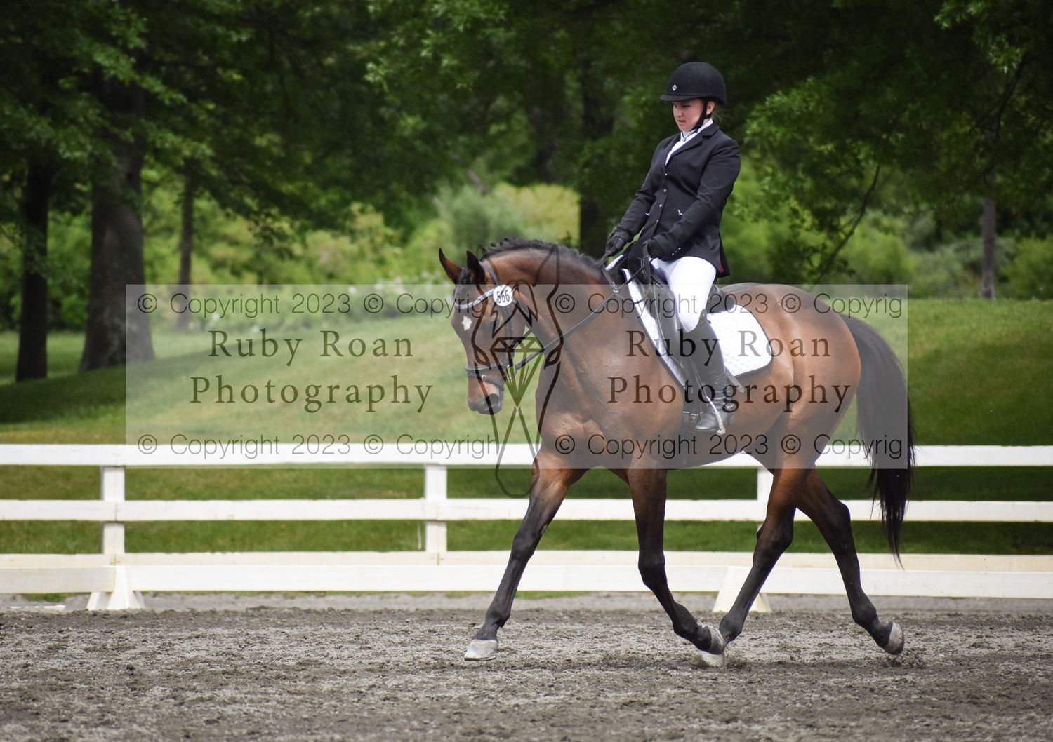 horse trotting fancy left