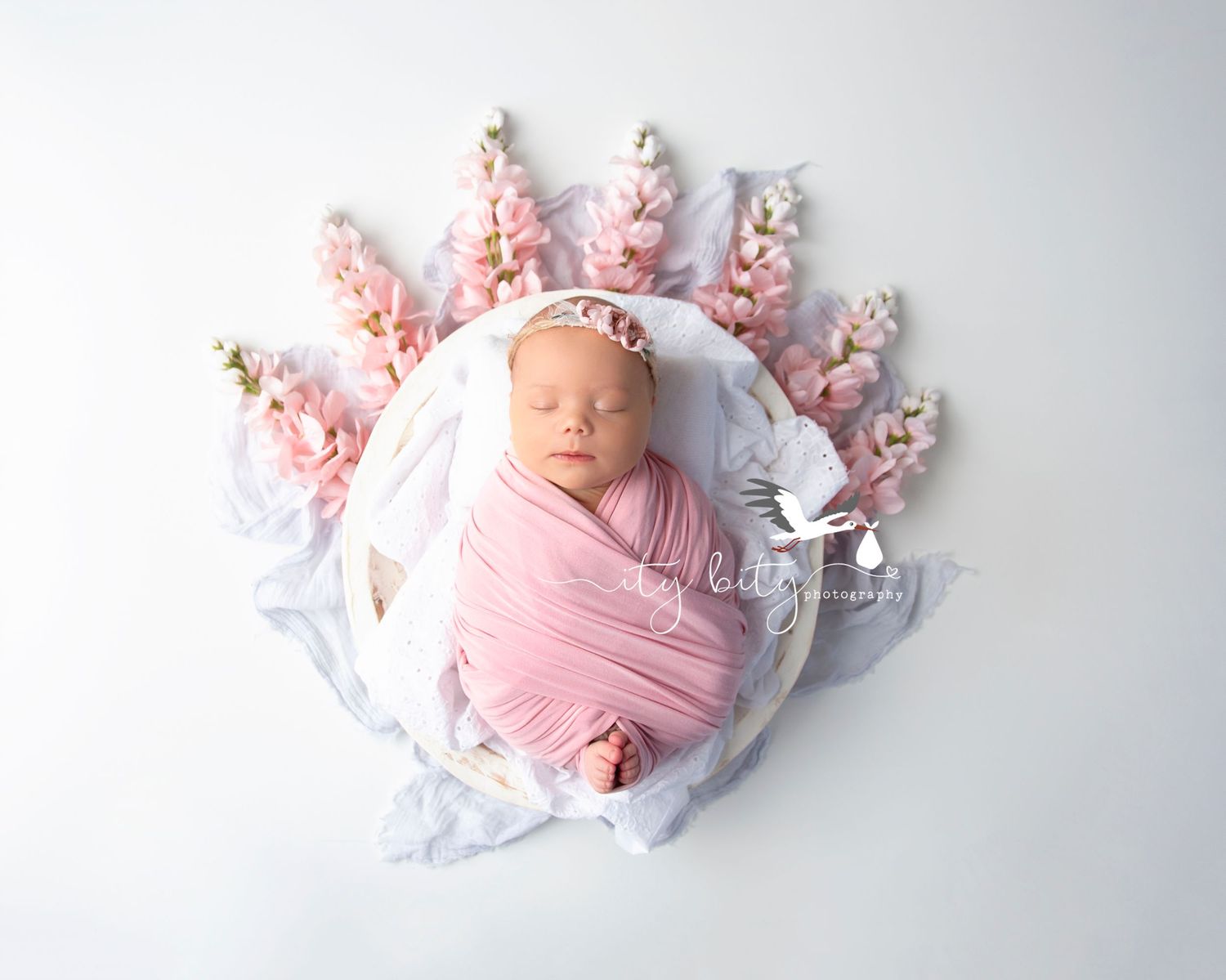 Avon Newborn & Family Photographer Baby Harper Pink Girl