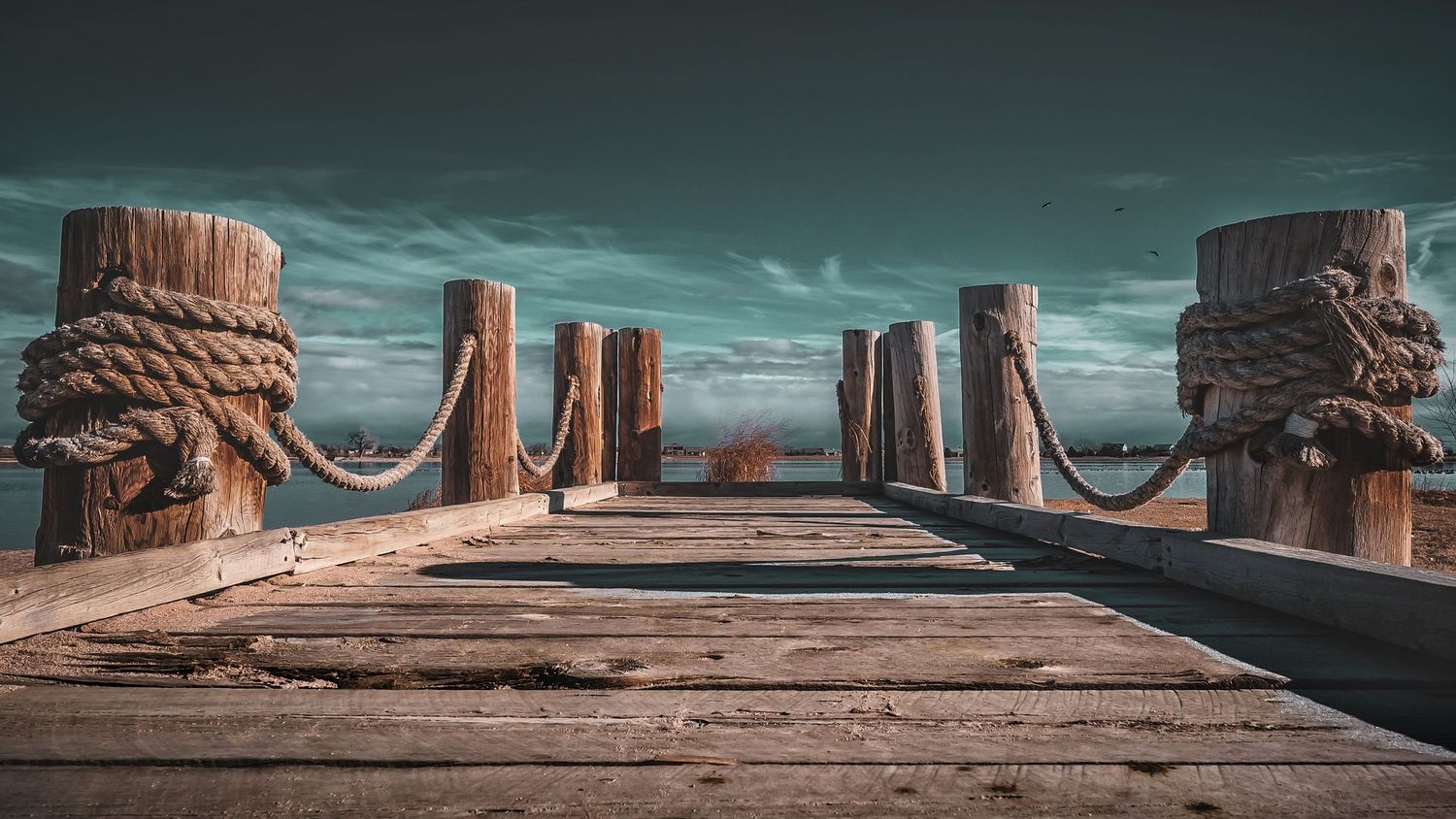 Windsor Lake Dock - Northern Colorado