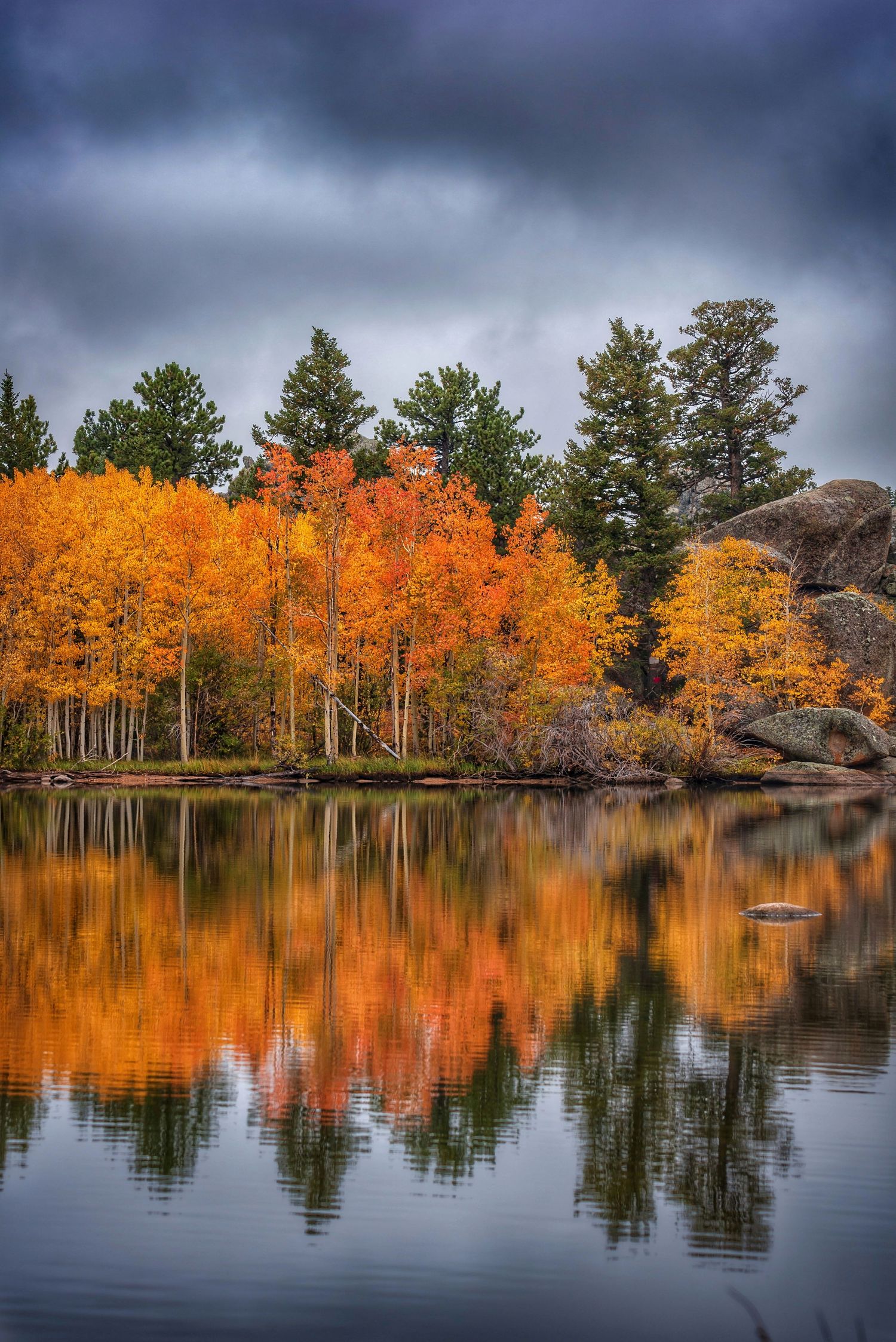 brilliant autumn gloom landscape sunset rural photo photography photographer northern colorado fine art nature