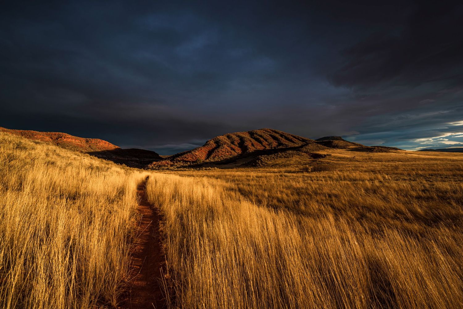 Red Mountain Sunset - Larimer County, Colorado