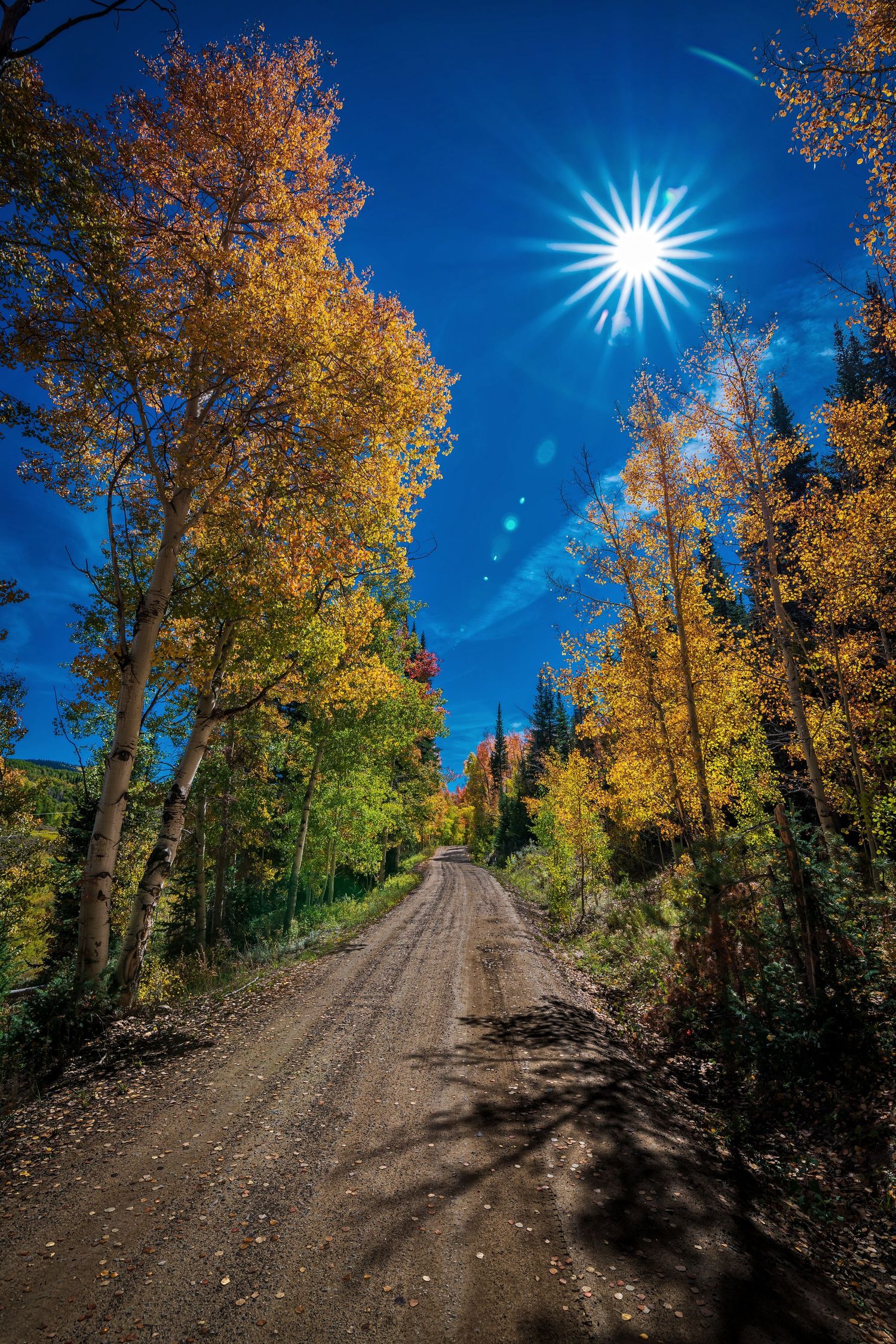 dirt road splendor autumn landscape sunset rural photo photography photographer northern colorado fine art nature