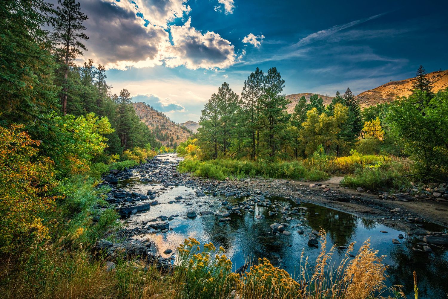 cache la poudre river autumn landscape sunset rural photo photography photographer northern colorado fine art nature