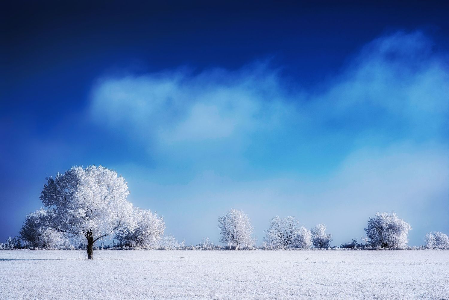 sugar frosted countryside winter landscape sunset rural photo photography photographer northern colorado fine art nature