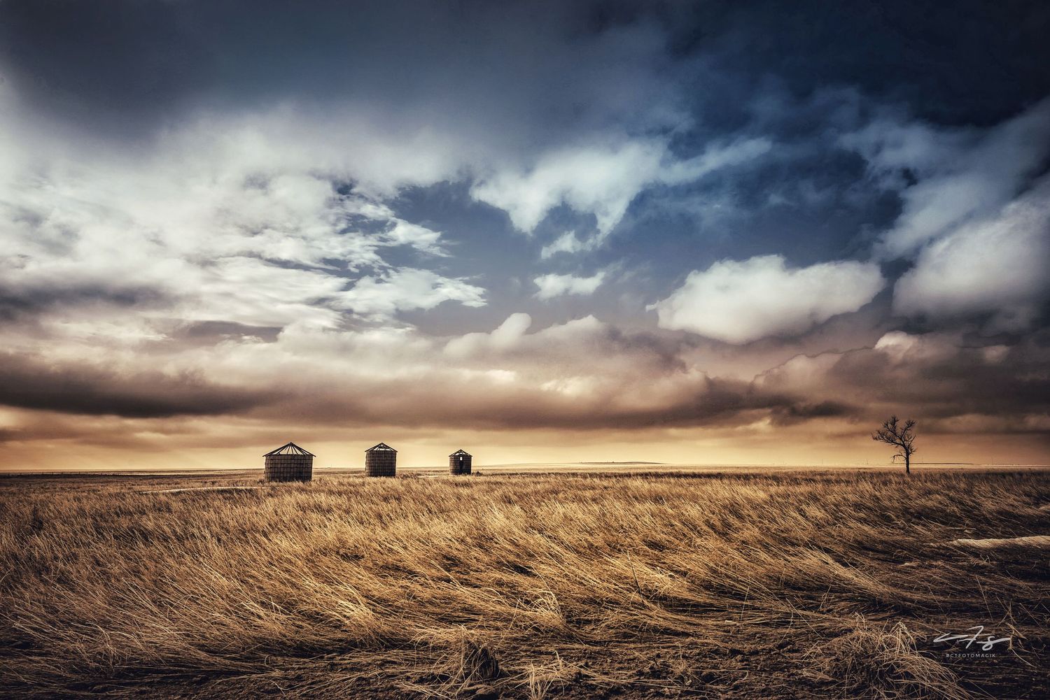 Windswept Grasslands - Eastern Colorado