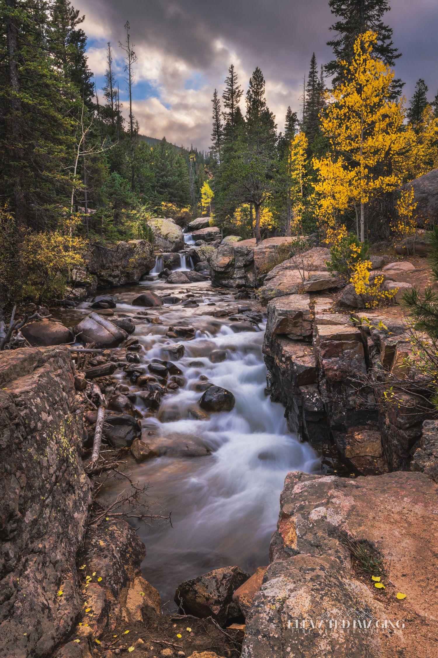 Wild Basin Trail / Saint Vrain creek - Rocky Mountain National Park - Colorado