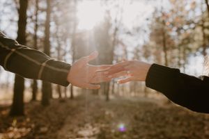 Two hands reaching towards each other in a sunlit forest setting.