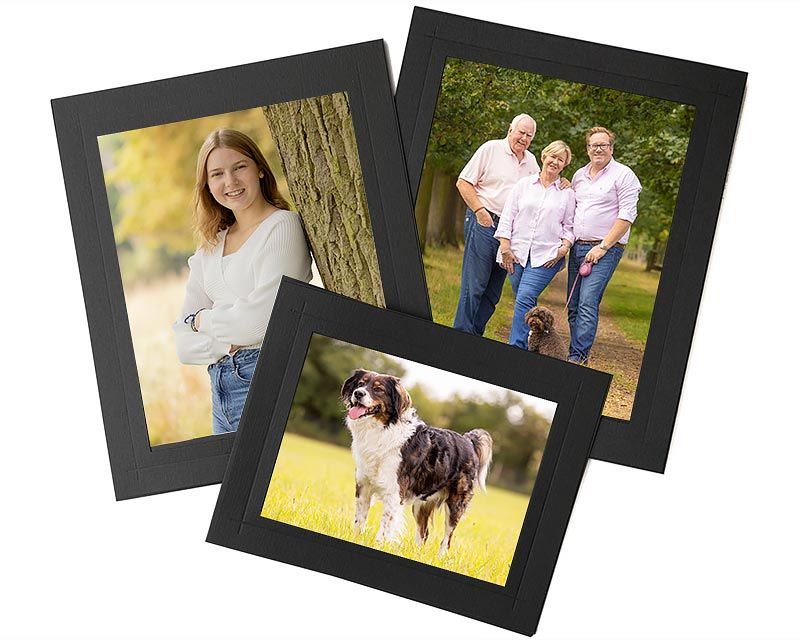 Collection of family portrait frames arranged in an artistic layout.