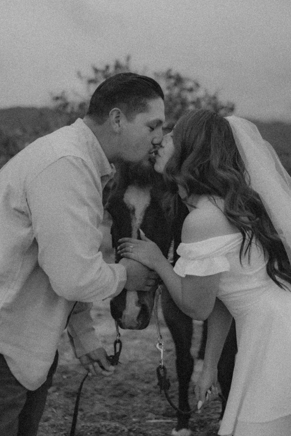 Engagement photography sessions with horses in Southern California