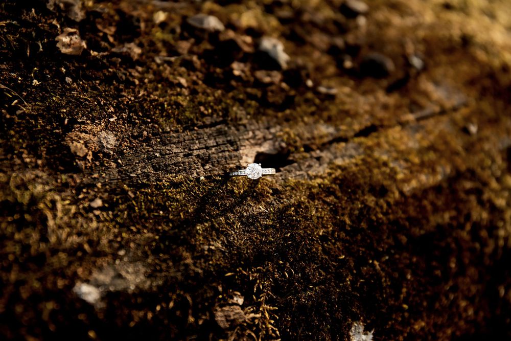 Close-up of dark soil texture showing natural organic matter and minerals.