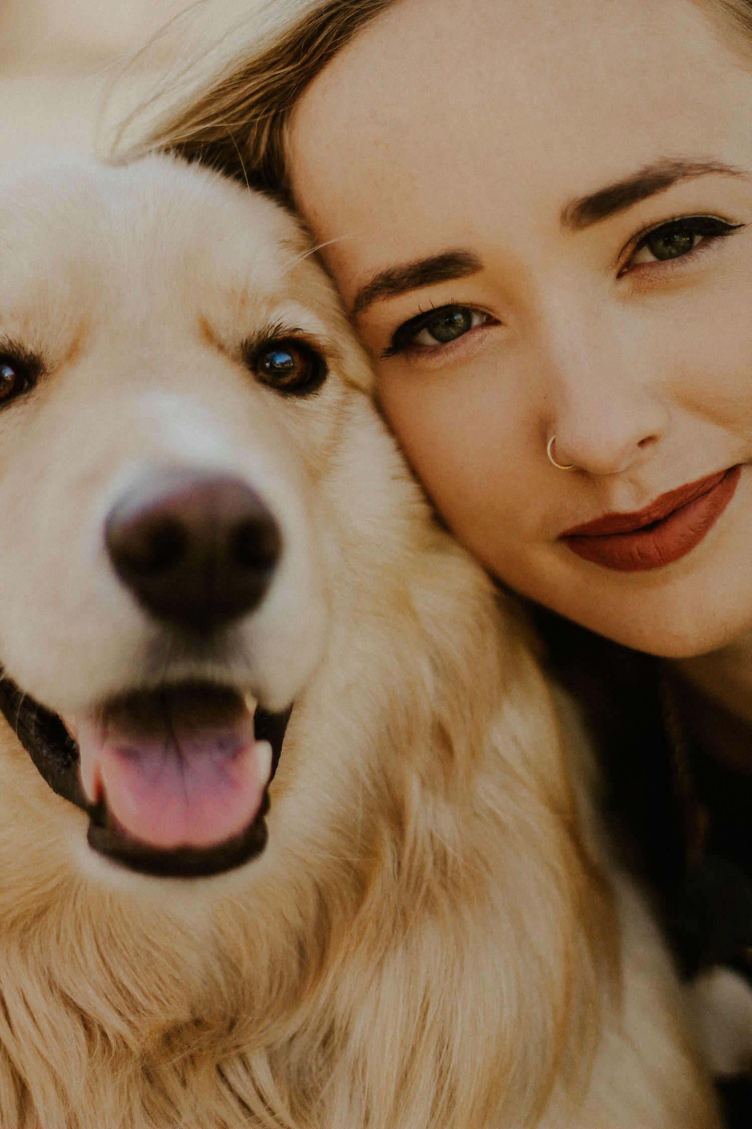 Dog photographer in Northern Colorado.