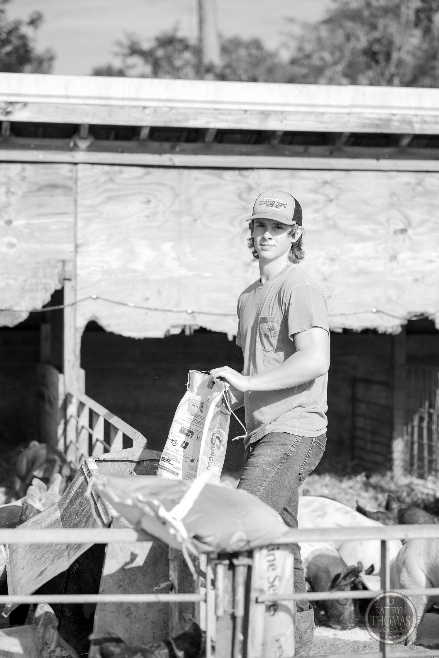 Farm worker holds feed bag while standing on wooden livestock pen in black and white photo.