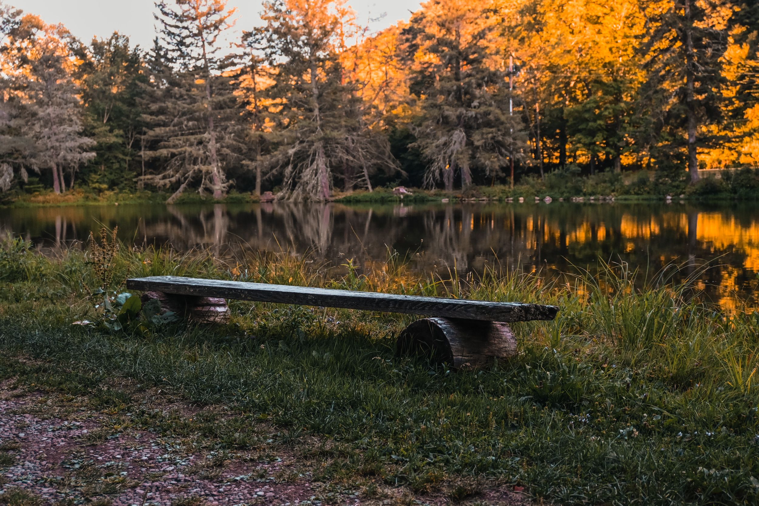 Bench and Pond Reflections