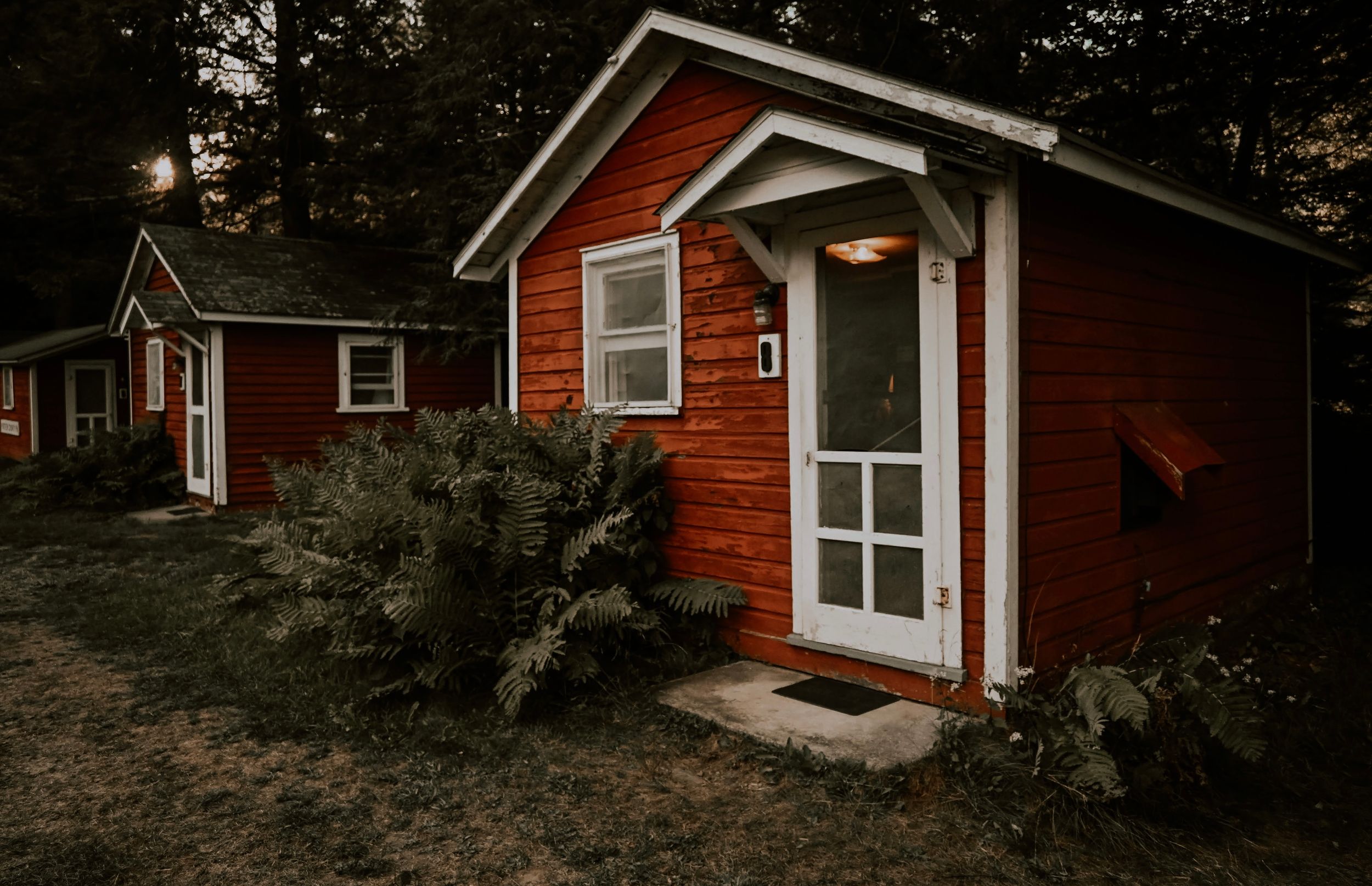 Tiny Cabin In The Woods