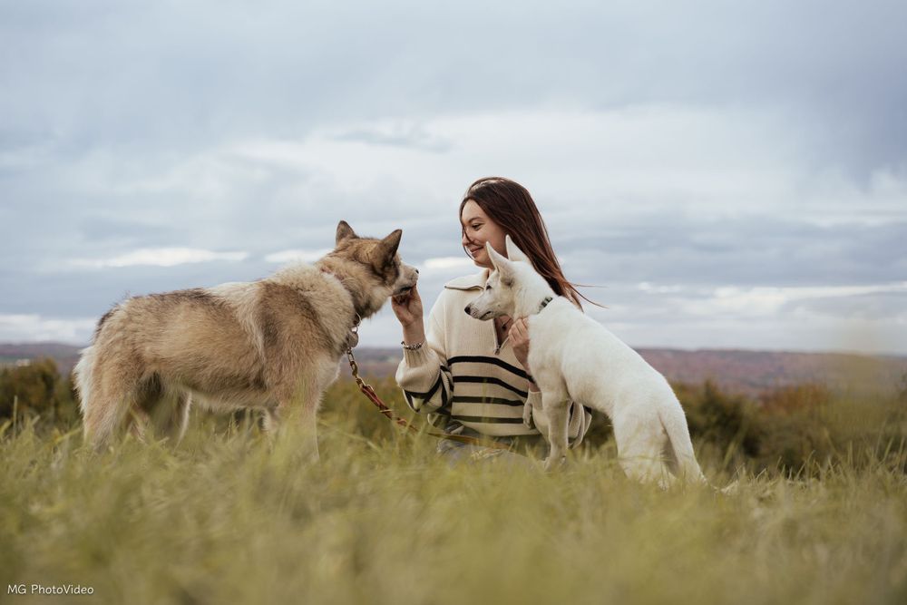 Photographe animalier à Sherbrooke en estrie
