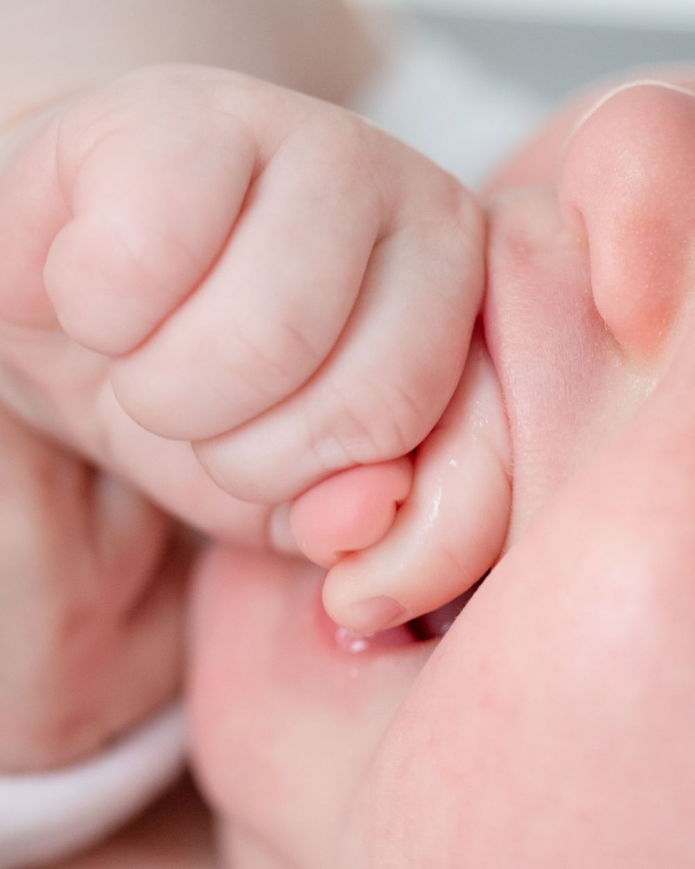 close up of baby sucking hand