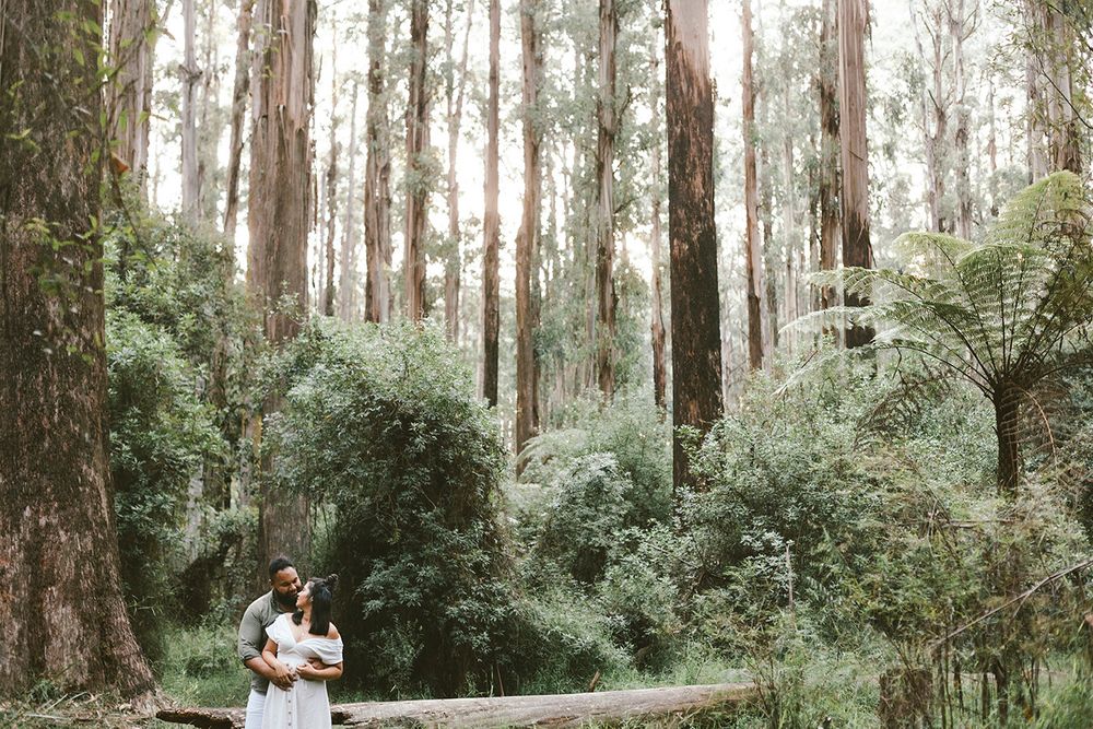 Loving couple embraces amidst towering eucalyptus trees in a serene forest setting.