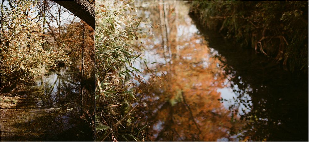 Autumn foliage reflects in still water creating a mirror image of orange and gold colors.