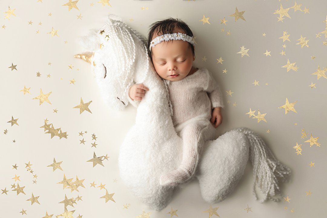 tampa newborn photographer