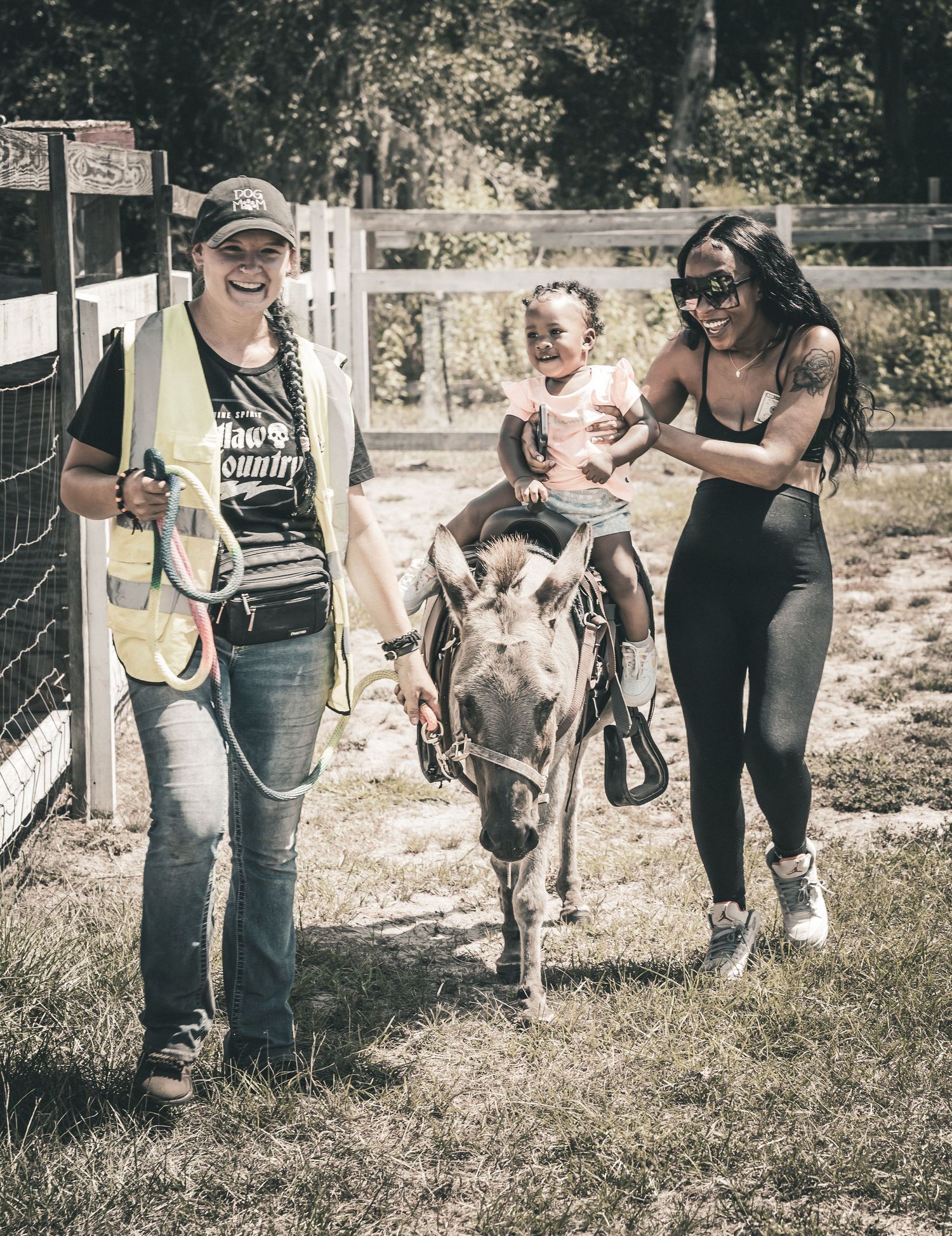 A happy group enjoying a donkey ride experience at a farm on a sunny day.